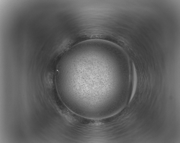 X0000062610695200512230920