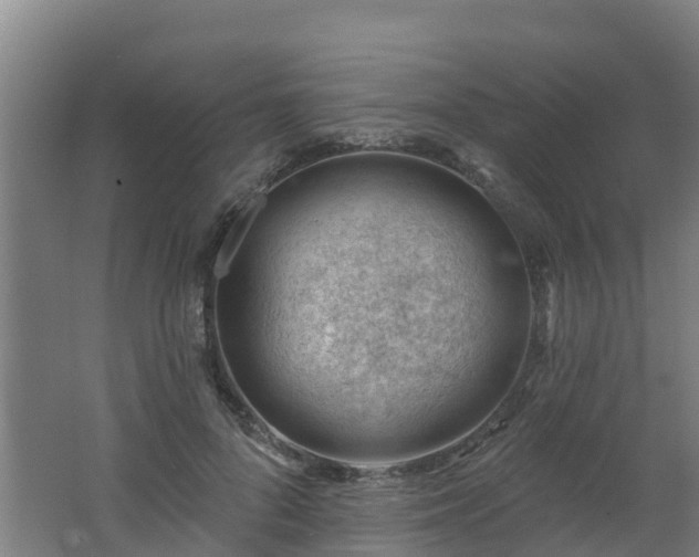 X0000062610696200512230920