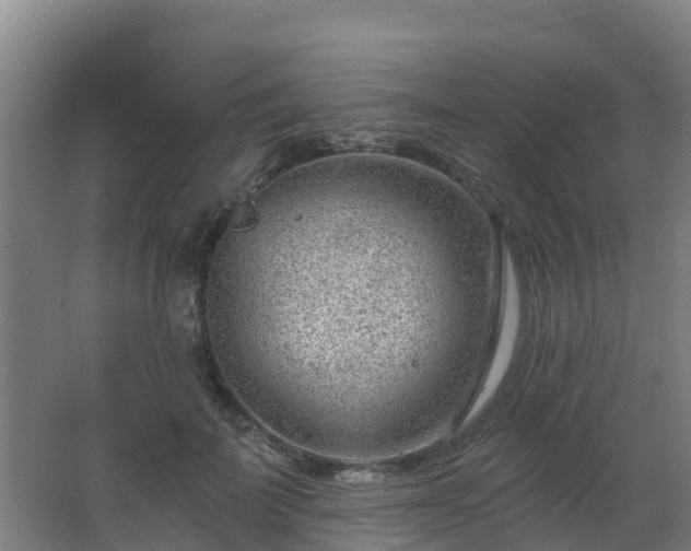 X0000062610699200512230920