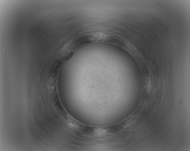 X0000062610701200512230920