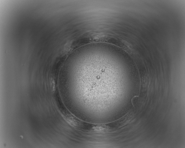 X0000062610703200512230920