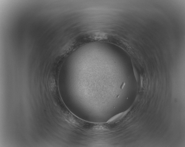 X0000062610704200512230920