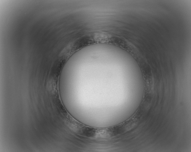 X0000062610705200512230920