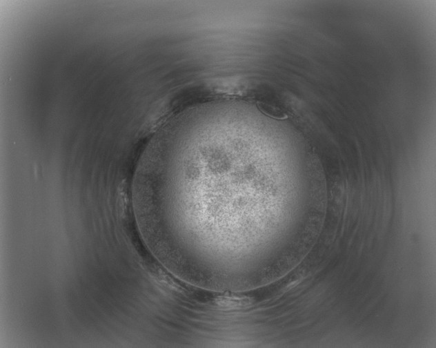 X0000062610707200512230920