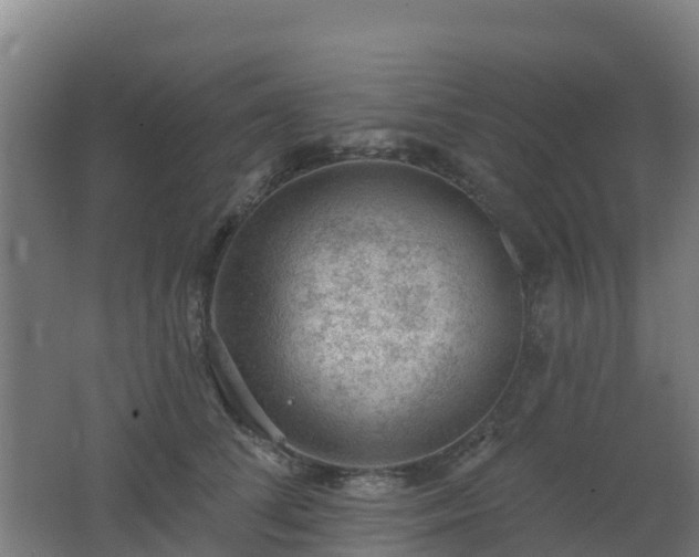 X0000062610708200512230920