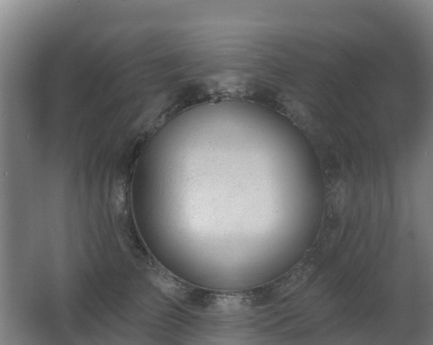 X0000062610709200512230919