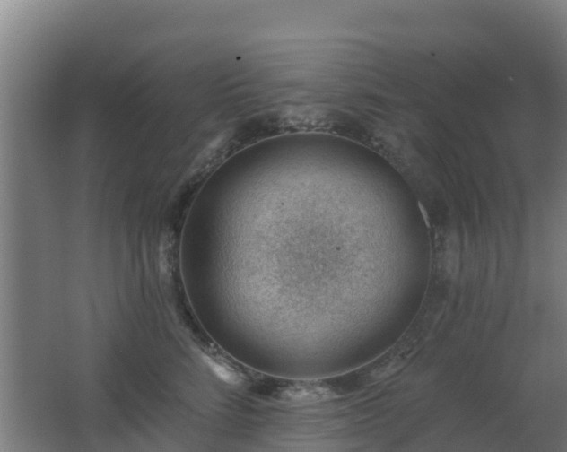 X0000062610712200512230919