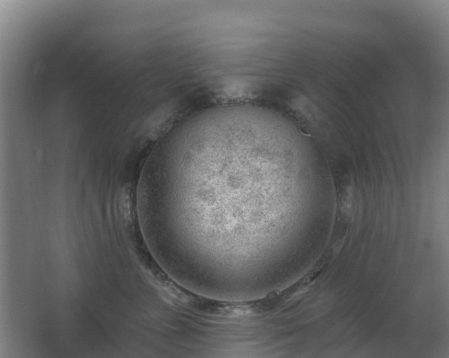 X0000062610715200512230919