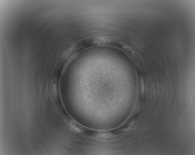 X0000062610716200512230919