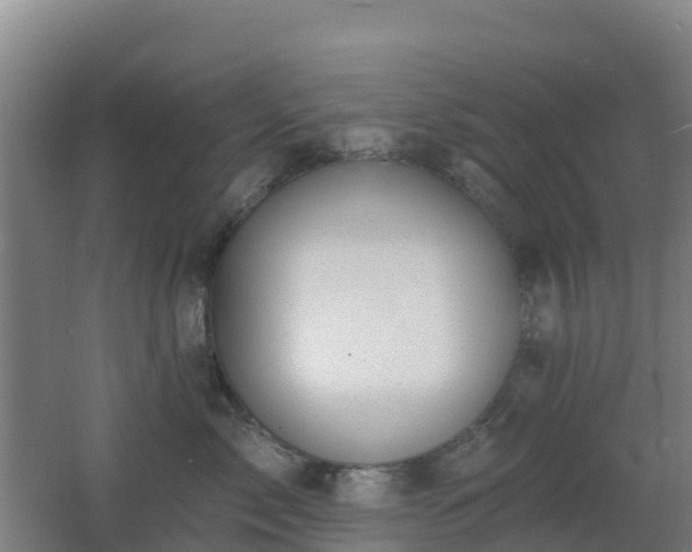 X0000062610717200512230919