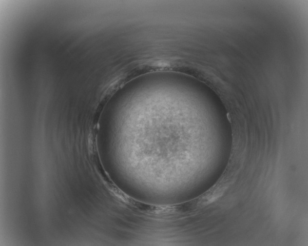 X0000062610720200512230919