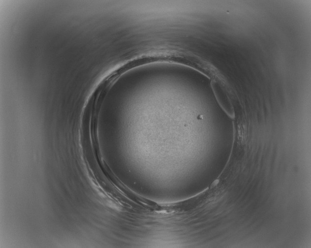 X0000062610724200512230919