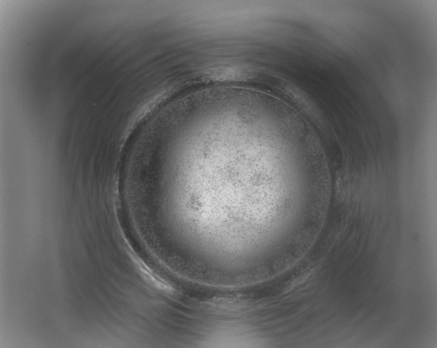 X0000062610725200512230919