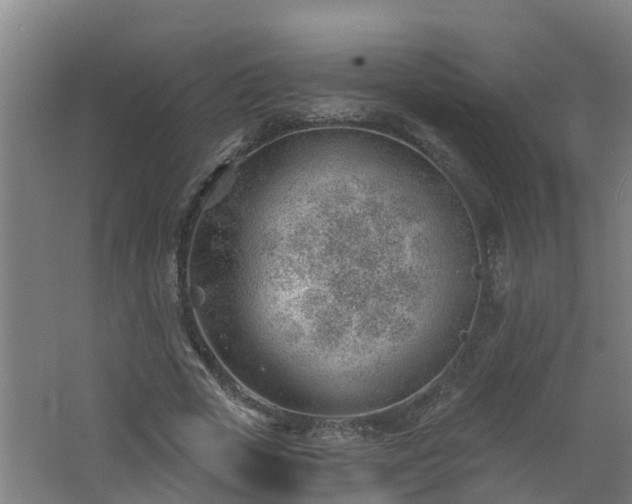 X0000062610729200512230919