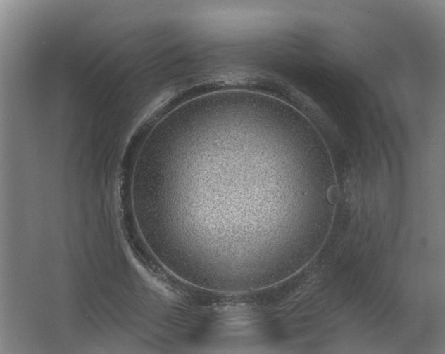 X0000062610730200512230919