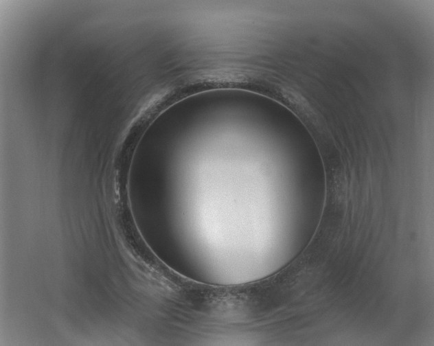 X0000062610731200512230919