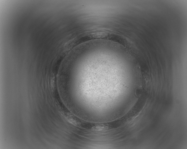 X0000062610745200512230919