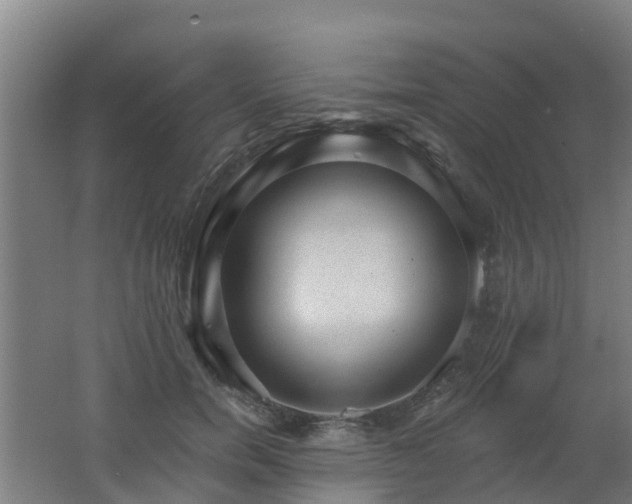 X0000062610750200512230919