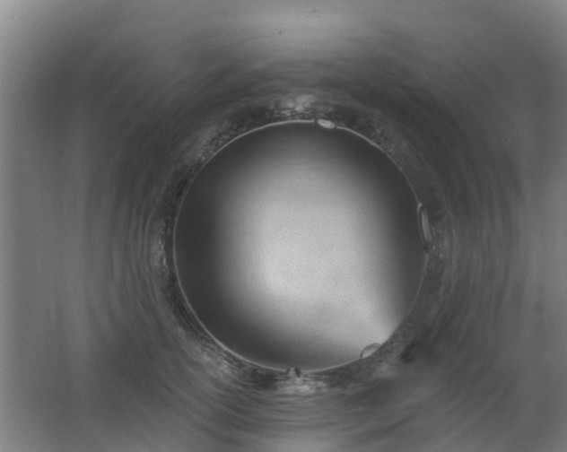 X0000062610754200512230919