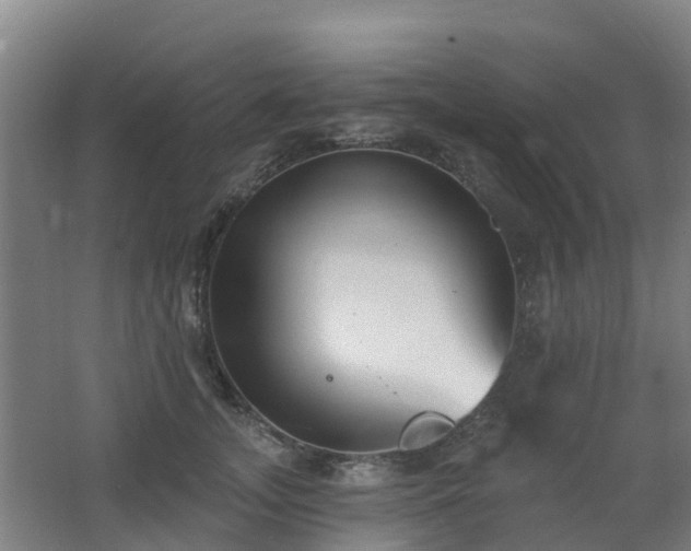 X0000062610755200512230919