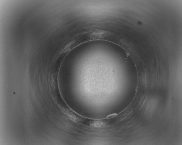 X0000062610759200512230919