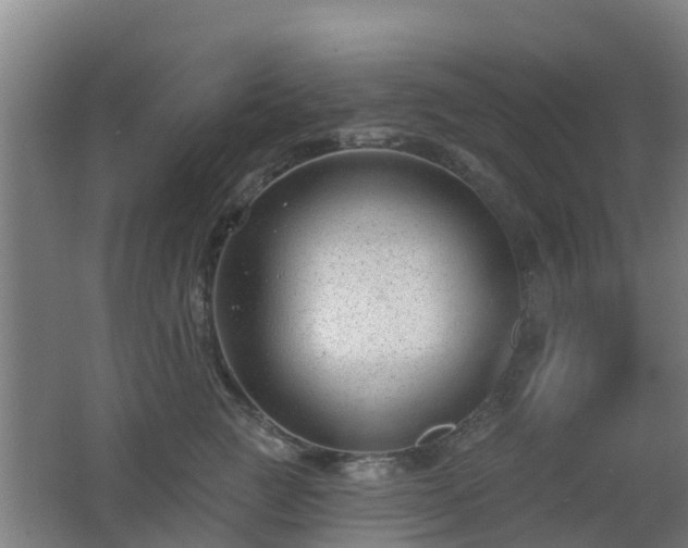 X0000062610761200512230919