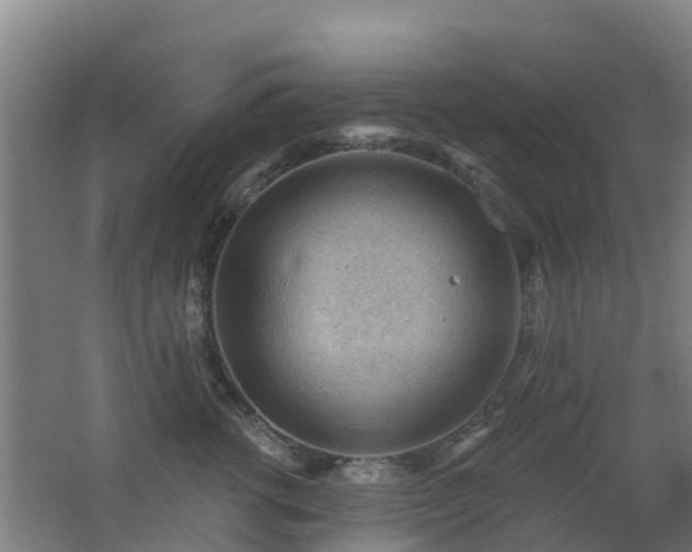 X0000062610762200512230919