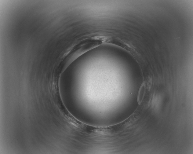 X0000062610763200512230919