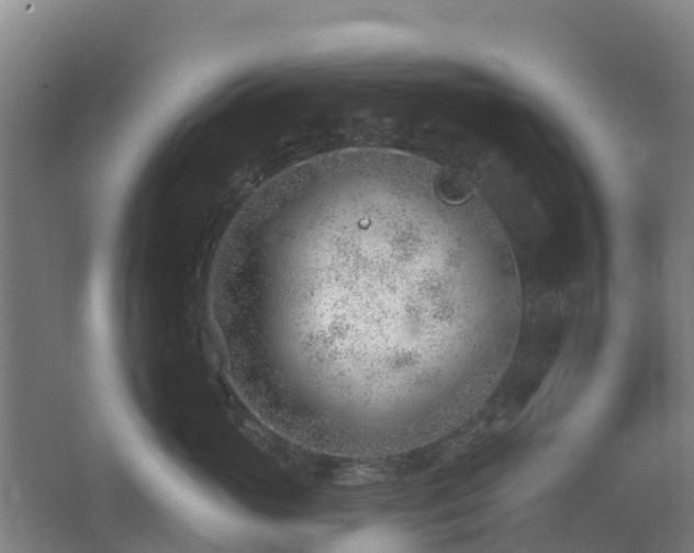 X0000062610765200512230919