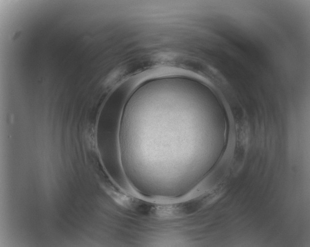 X0000062610766200512230919