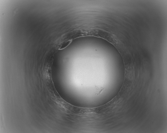 X0000062610770200512230918