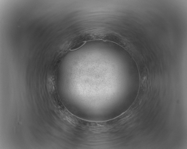 X0000062610772200512230918