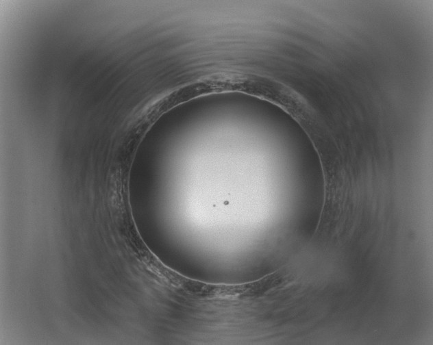 X0000062610773200512230918