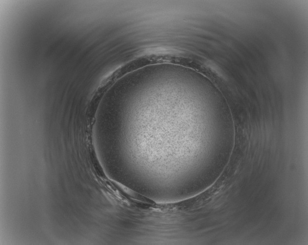 X0000062610775200512230918