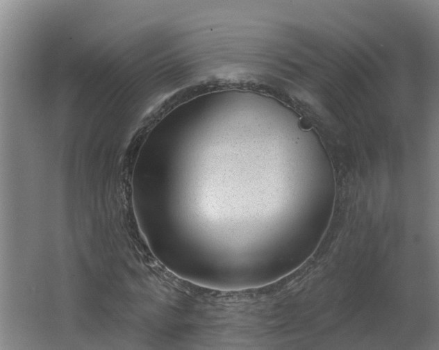 X0000062610776200512230918