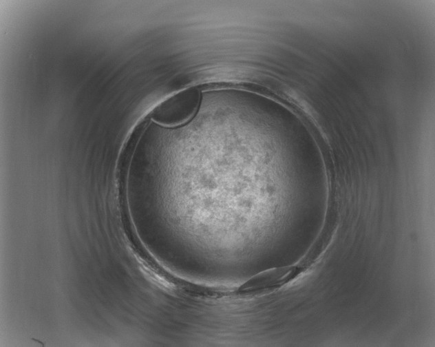 X0000062610779200512230918