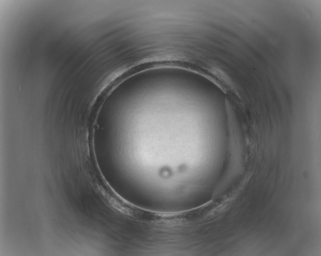 X0000062610781200512230918