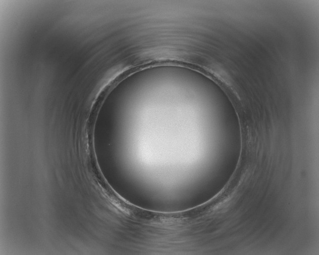 X0000062610782200512230918