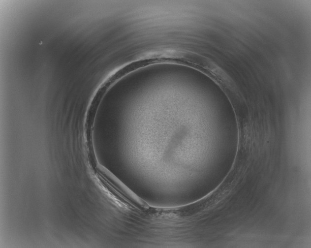 X0000062610784200512230918