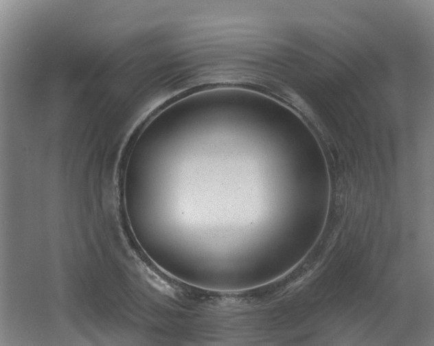 X0000062610787200512230918