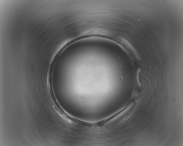 X0000062610788200512230918