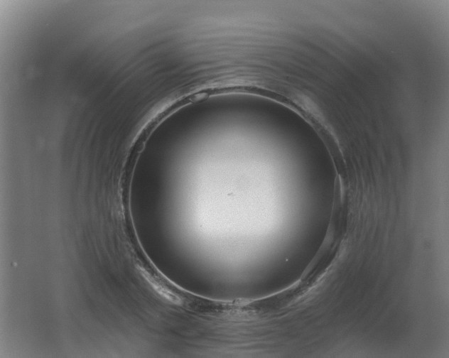 X0000062610789200512230918