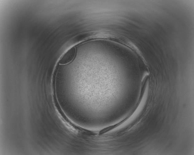 X0000062610795200512230918