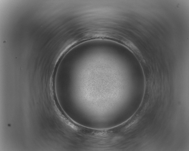 X0000062610798200512230918