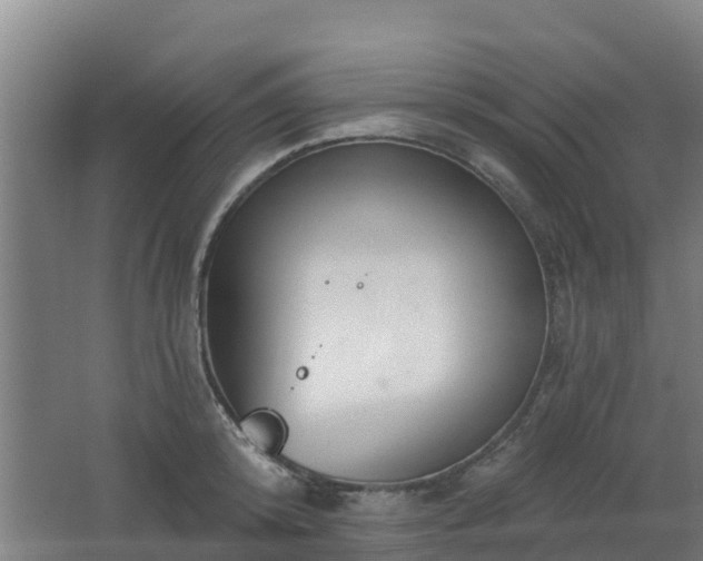 X0000062610800200512230918