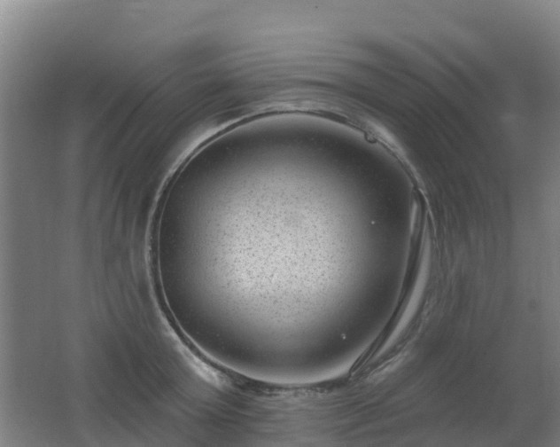 X0000062610803200512230918