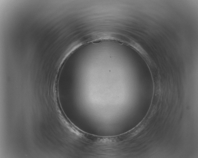 X0000062610806200512230918