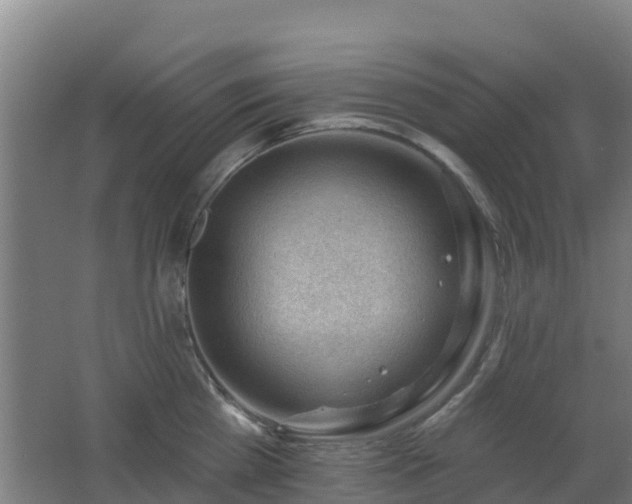 X0000062610809200512230918