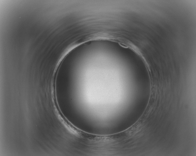 X0000062610811200512230918