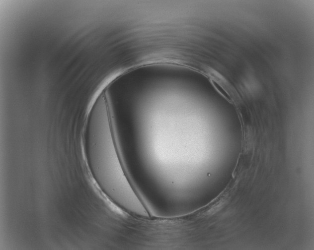 X0000062610812200512230918